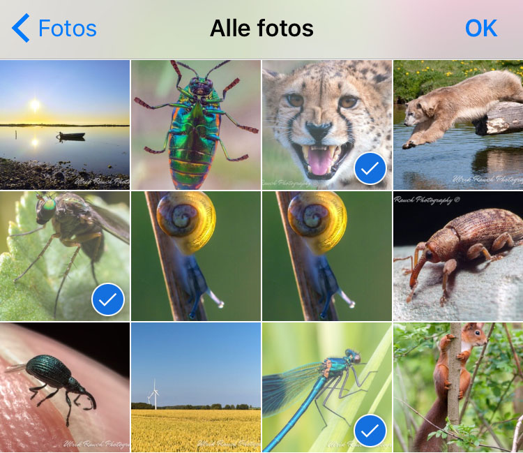 Udvaelg billeder ios